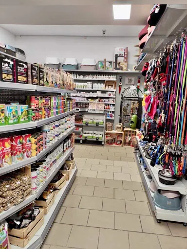 Mam Dbam Sklep zoologiczny Tychy